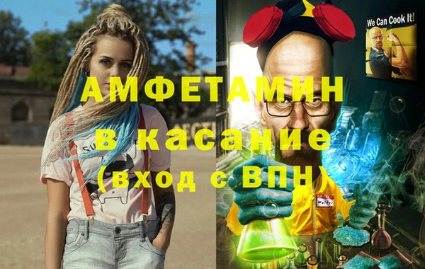 ГАЛЛЮЦИНОГЕННЫЕ ГРИБЫ Аркадак
